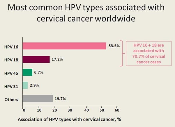Chart showing the most common HPV types associated with cervical cancer worldwide